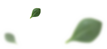 Leaf2